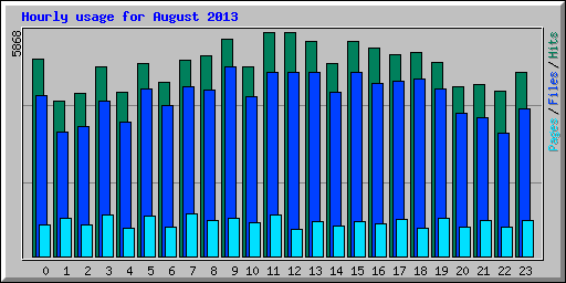 Hourly usage for August 2013