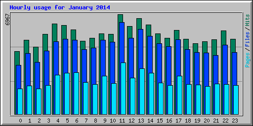 Hourly usage for January 2014